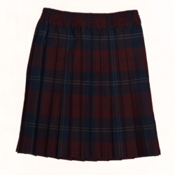 The Priory School tartan skirt