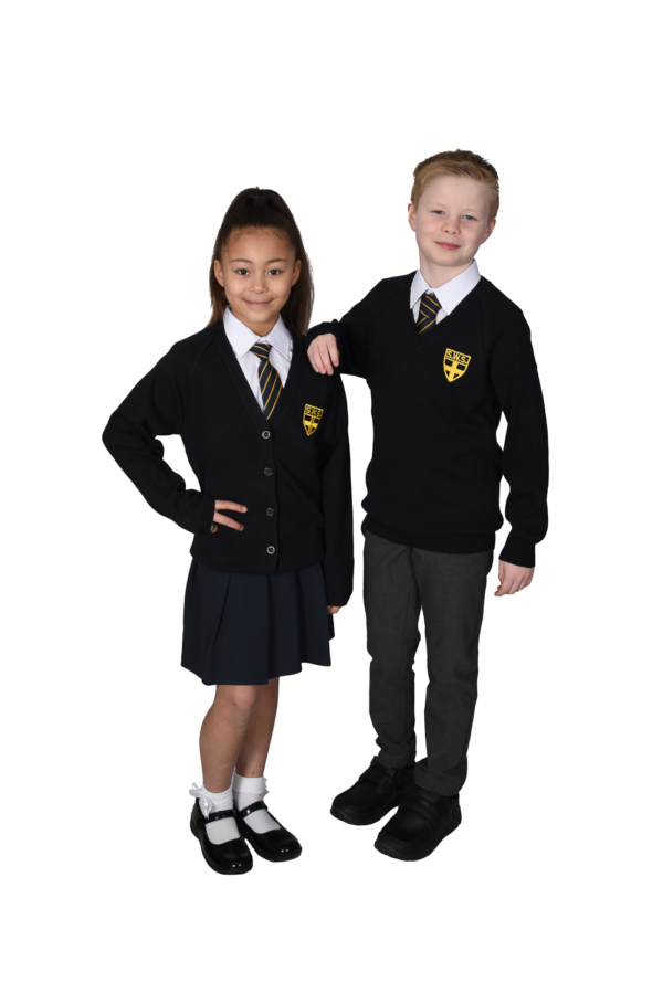 SWS School Ties - Image 2