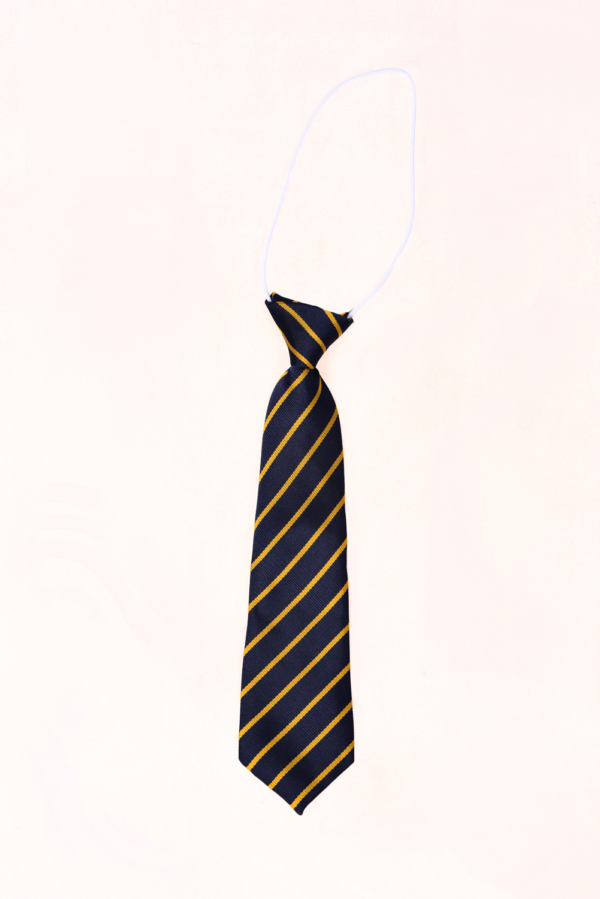 SWS School Ties