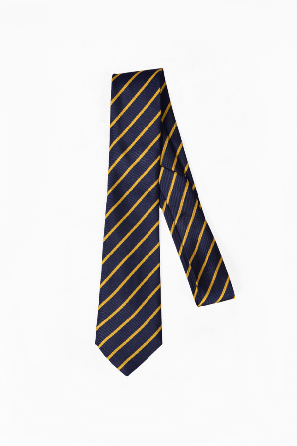 SWS School Ties - Image 3